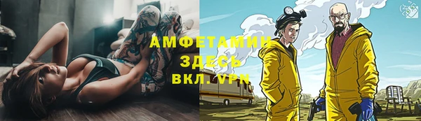 винт Алзамай