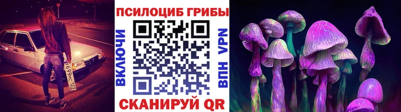 Галлюциногенные грибы прущие грибы Чишмы